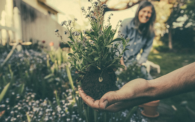 How to make your next gardening perfect!